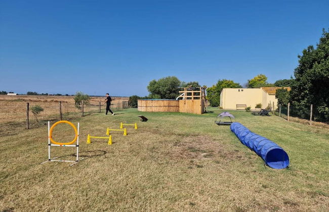 Agriturismo Il Roseto - Foto 47