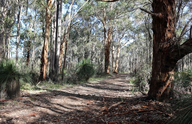 Ellensbrook Cottages - Foto 45