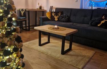 Dusznickie Apartamenty z widokiem - Foto 77