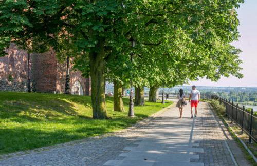 APARTAMENT ZEN winda klimatyzacja dobra energia - Foto 29