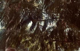 Maison Lido Silvana - Photo 10