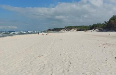 Apartament Pod Orzechem - Foto 14