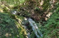 Ferienwohnung zum Hirschen - Foto 32