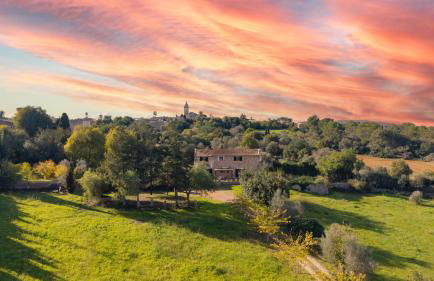 Finca aigua- sa tanca de can vicens - Foto 9