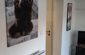 Duplex les Myrtilles LES CARROZ centre station - Photo 7