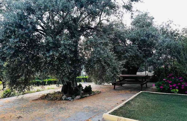 "villa She Ruz " - Photo 42