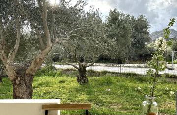 Serenity Living - Foto 11