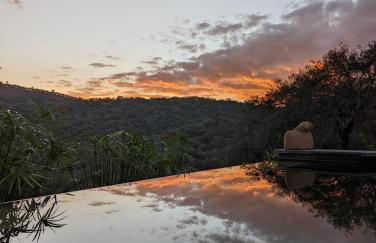 Finca Bravo - Foto 15