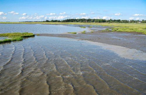 FeWo Watt-Lounge zwischen Husum und Nordstrand - Foto 20