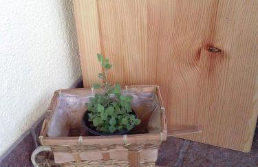 Kuća Za Odmor Barbara - Photo 46