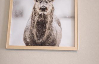 Antelao appartament Dolomiti piano terra - Foto 10