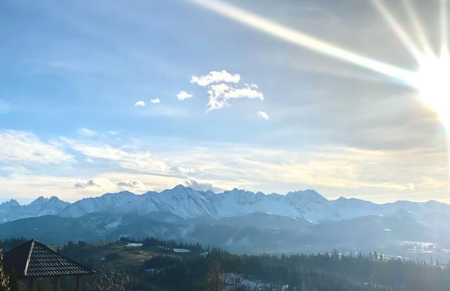 Willa Janowa apartamenty i pokoje - Photo 79