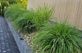 Dom w Czerwonej Dolinie Haus im Roten Tal Seidorf Sosnówka` - Foto 54