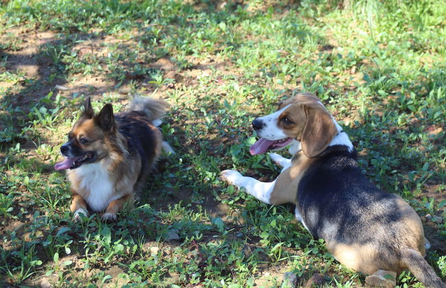 Aldea Ecorural - Foto 54