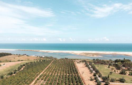 Casas da Quinta de Cima - Foto 44