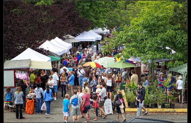 Stone Hearst - Foto 37