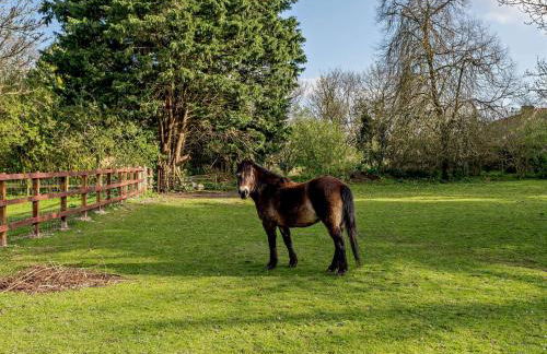 2 Bed in Durweston STOMI - Photo 19