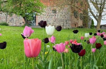 Converted Barn With A View In The Uckermark - Foto 40