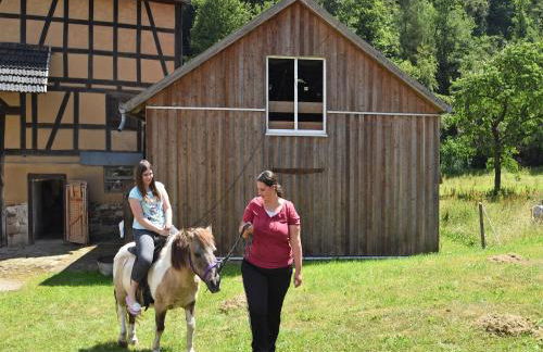 Holiday Farm Situated Next to the Kellerwald-edersee National Park With a Sunbathing Lawn - Foto 109