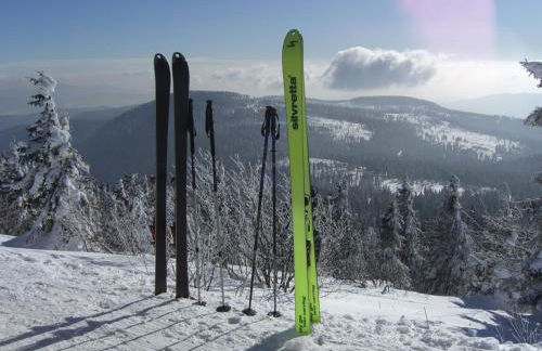 Richterhof Wellness Apartments Bayerischer Wald - Foto 40