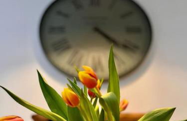 Harbour Haven - Foto 31