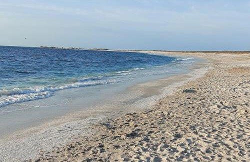 Home Green - Foto 41