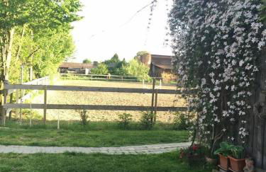 Biohof Zahn - Foto 8