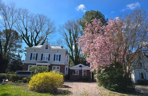 A Little Serenity - Foto 22