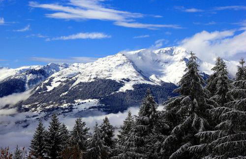 Grand Arbois, les Arcs 1800 - Foto 18