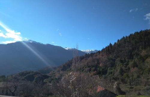 Το σπιτάκι του Σπύρου - Foto 19