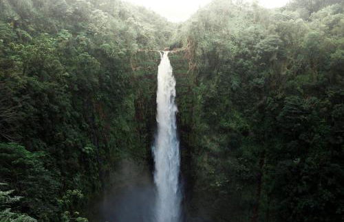 Hale Makani - Foto 41