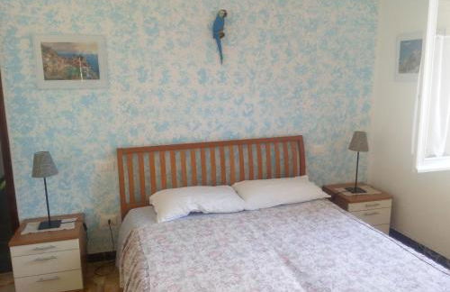 I Limoni di Matteo - Foto 6