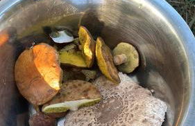 Apartment am Rhein - Foto 12