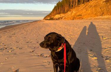 Corner House Plesna - Foto 33