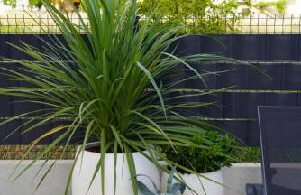 Blue Shell Trogir Apartment - Foto 43