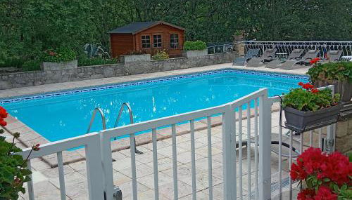 Les Papillons - Photo 2