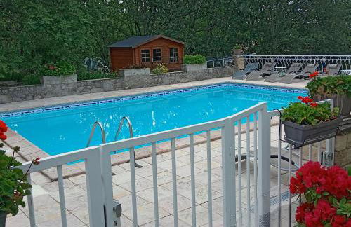 Les Papillons - Photo 2