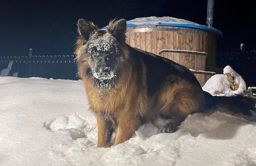 Żurawi klangor - dom z sauną i jacuzzi - Foto 49