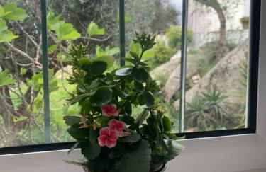 Casa 1-Quinta dos Penedos - Foto 53