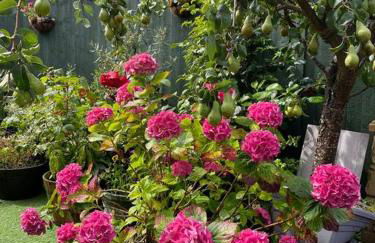 Private apartment in Wrose, Shipley, Bradford - Foto 7