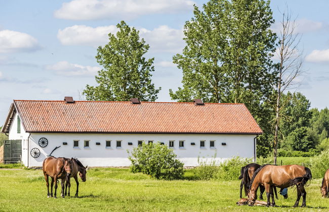Dwór Szwałk - Foto 5
