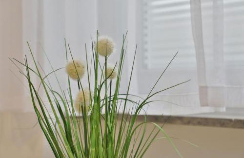 Moderne Ferienwohnungen - Service wie im Hotel - Foto 16