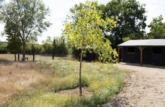 The Old Workhouse Paddocks - Foto 23