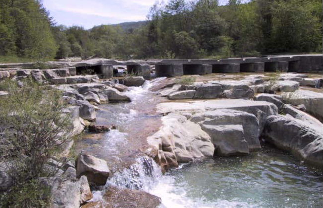 Dragonja Valley Hiking Tour - Foto 2