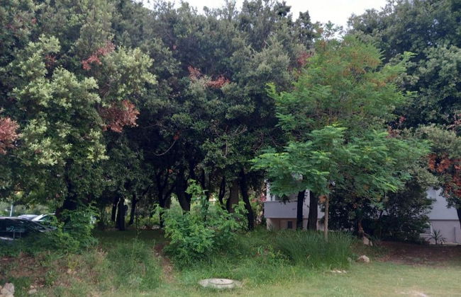 Guest House Green Corner Palit - Foto 31