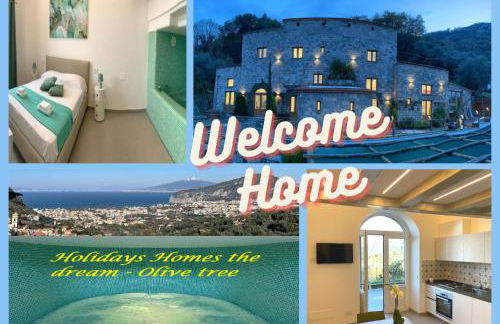 Holidays Homes The dream - Foto 9