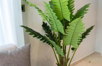 Zen Apartments By The Sea - Foto 51