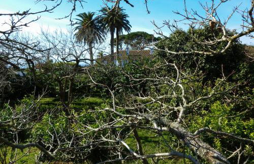 Quinta do Espírito Santo - Photo 34