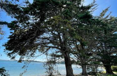 Sous les Palmiers-10 personnes-plage-ile aux moines - Foto 22