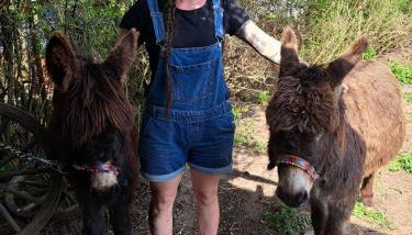 Wunderschöne 3-Zimmerwohnung auf dem Bauernhof - Foto 2